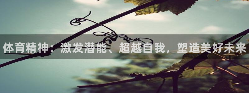 JJB竞技宝官网下载平台是正规平台吗：体育精神：激发