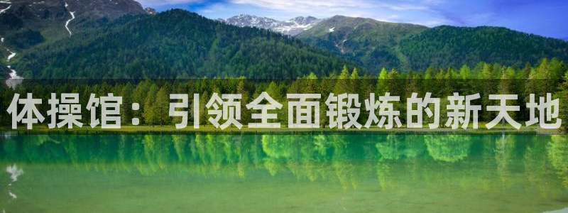 JJB竞技宝官方正版app娱乐：体操馆：引领全面锻炼的新天地
