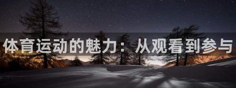 JJB竞技宝官网下载平台是正规平台吗：体育运动的魅力：从观看
