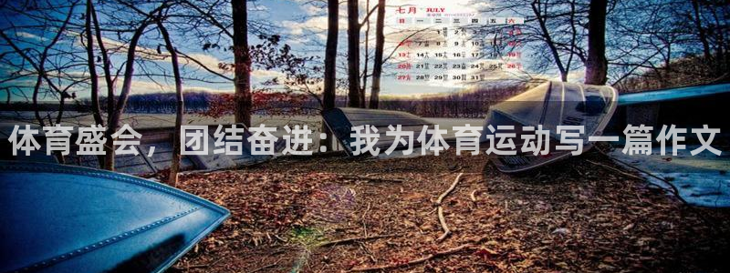 JJB竞技宝官网下载招商电话号码：体育盛会，团结奋进