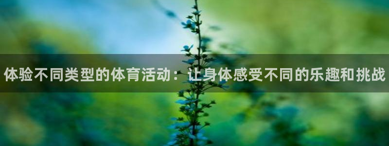 JJB竞技宝官网下载平台注册流程视频：体验不同类型的