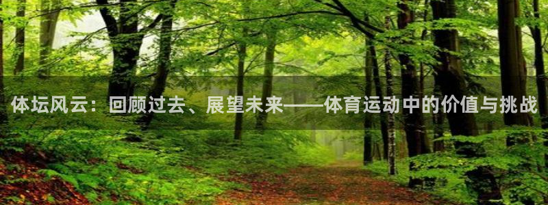 JJB竞技宝官网下载平台注册要钱吗：体坛风云：回顾过