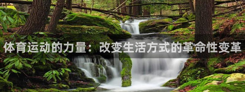 JJB竞技宝官方正版app官网：体育运动的力量：改变生活方式