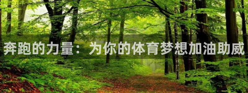 JJB竞技宝官方正版app神州：奔跑的力量：为你的体育梦想加
