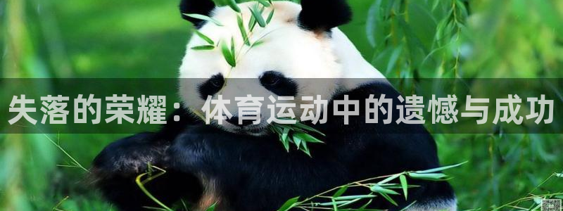 JJB竞技宝官网下载平台注册要钱吗：失落的荣耀：体育