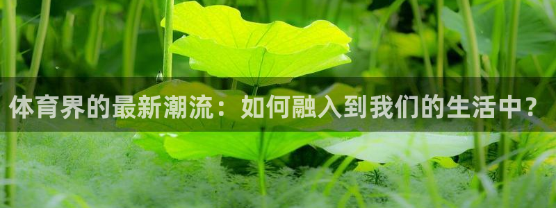 JJB竞技宝官网下载开户：体育界的最新潮流：如何融入