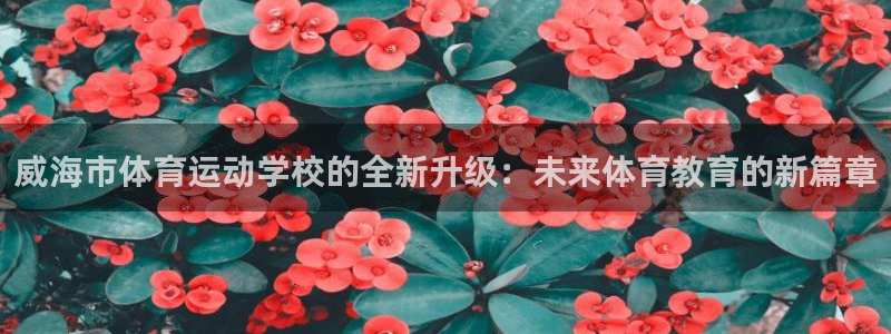 德国JJB竞技宝官方正版app集团：威海市体育运动学