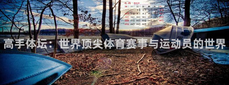 JJB竞技宝官网下载平台：高手体坛：世界顶尖体育赛事与运动员