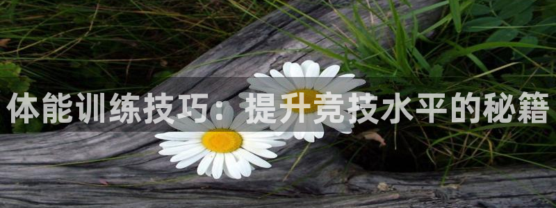 JJB竞技宝官方正版app娱乐是那个系列的台子：体能训练技巧