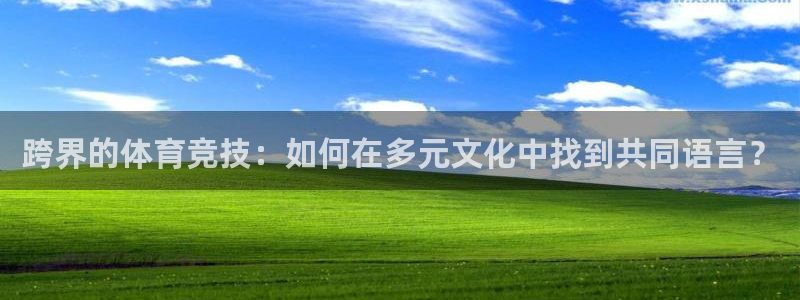 JJB竞技宝官方正版app官网：跨界的体育竞技：如何在多元文