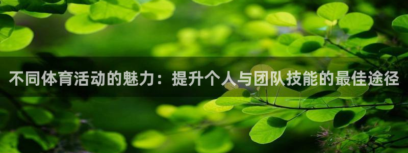 注册JJB竞技宝官方正版app：不同体育活动的魅力：提升个人