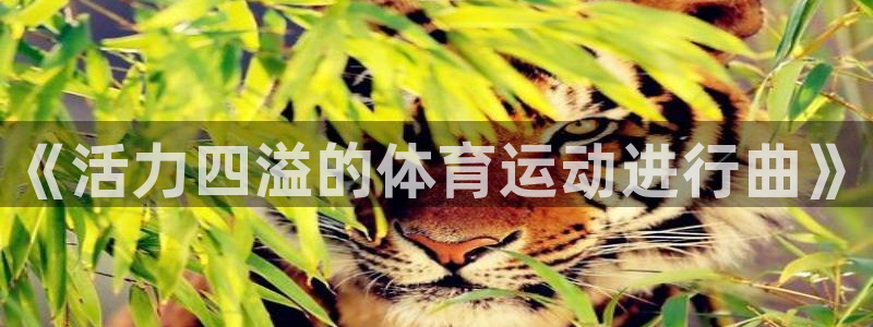 JJB竞技宝官网下载平台是正规平台吗：《活力四溢的体育运动进