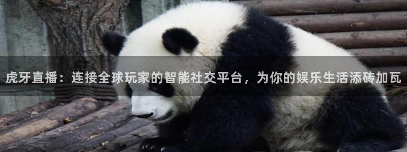 搜球8直播nba直播：虎牙直播：连接全球玩家的智能社交平台，为你的娱乐生活添砖加瓦