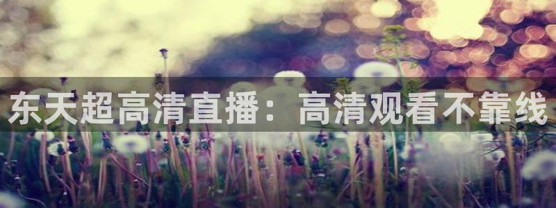 搜球体育直播app：东天超高清直播：高清观看不靠线