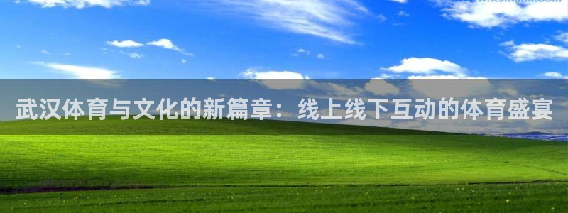 搜球吧直播 在线观看：武汉体育与文化的新篇章：线上线下互动的体育盛宴