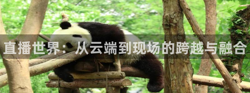 搜球直播吧：直播世界：从云端到现场的跨越与融合