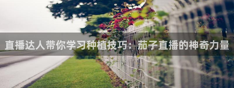搜球直播体育：直播达人带你学习种植技巧：茄子直播的神奇力量