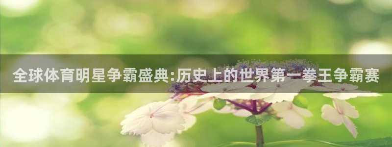 搜球体育下载：全球体育明星争霸盛典:历史上的世界第一拳王争霸赛